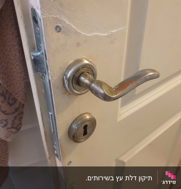 תיקון דלת עץ בשירותים.